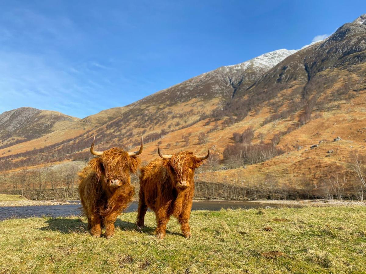 פורט ויליאם Glen Nevis Holidays מראה חיצוני תמונה