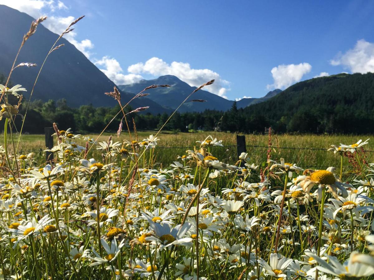 פורט ויליאם Glen Nevis Holidays מראה חיצוני תמונה
